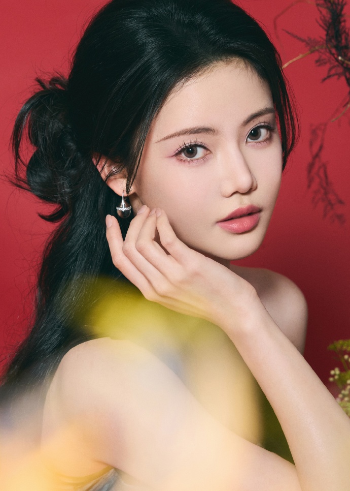 风骚律师